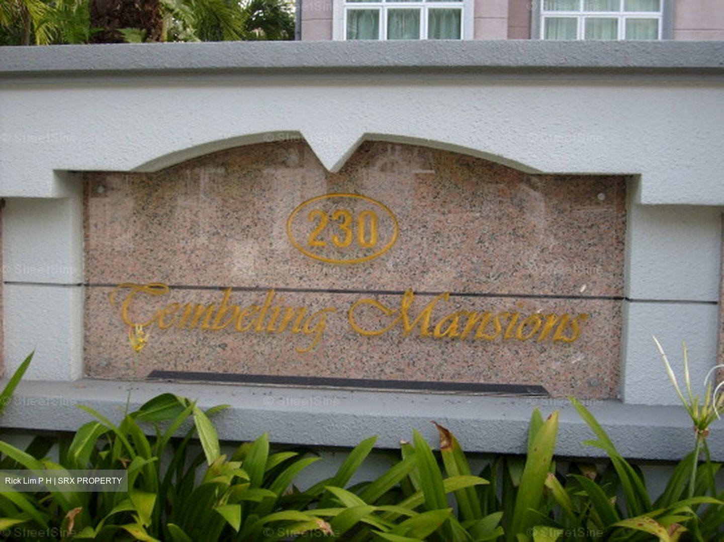 Tembeling Mansions (D15), Apartment #596915751